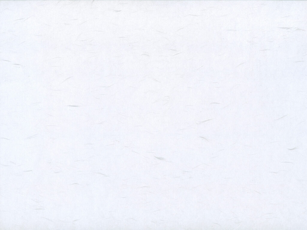 両面大光紙 白